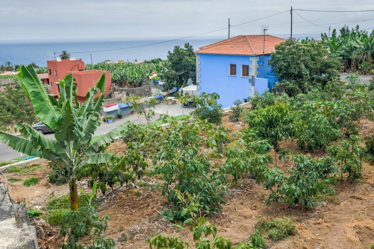 Casa Las Canas Icod De Los Vinos Extérieur photo